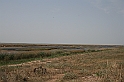 Karpaty+Krym 06.2007 280